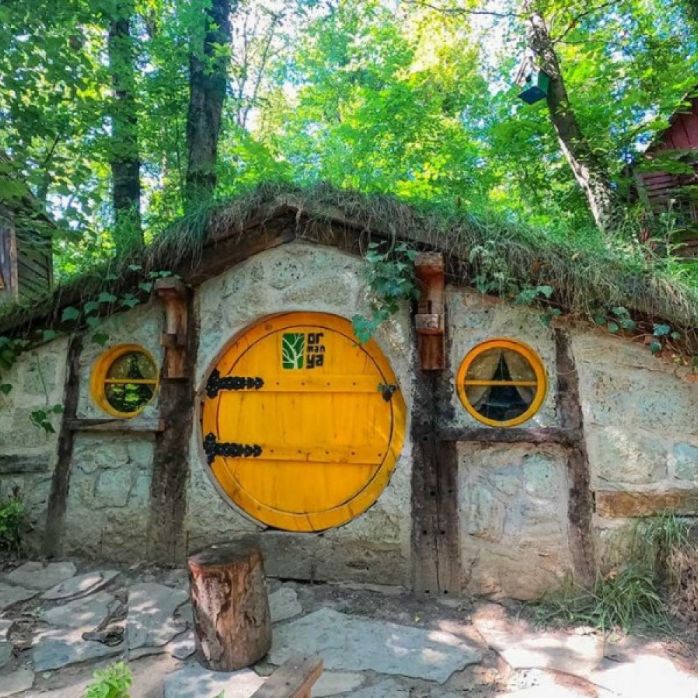 Ankara Hareketli Günübirlik Sapanca Maşukiye Ormanya Turu