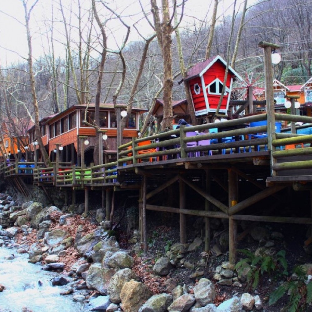 Ankara Hareketli Günübirlik Sapanca Maşukiye Ormanya Turu