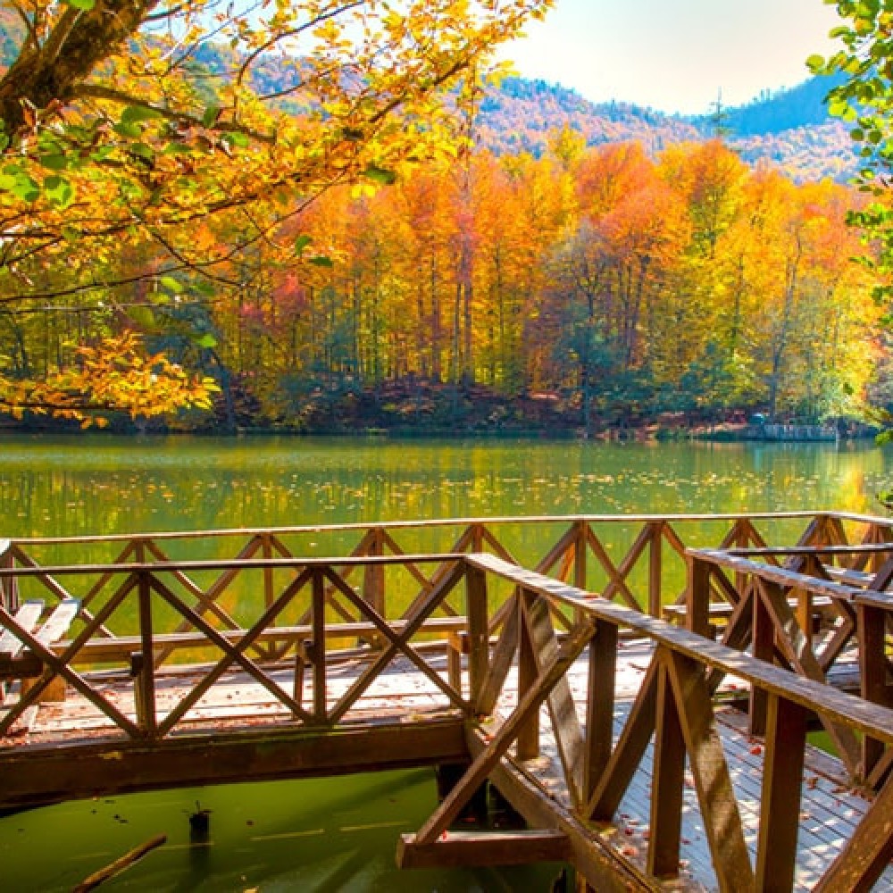 Ankara Hareketli Günübirlik Yedigöller Turu