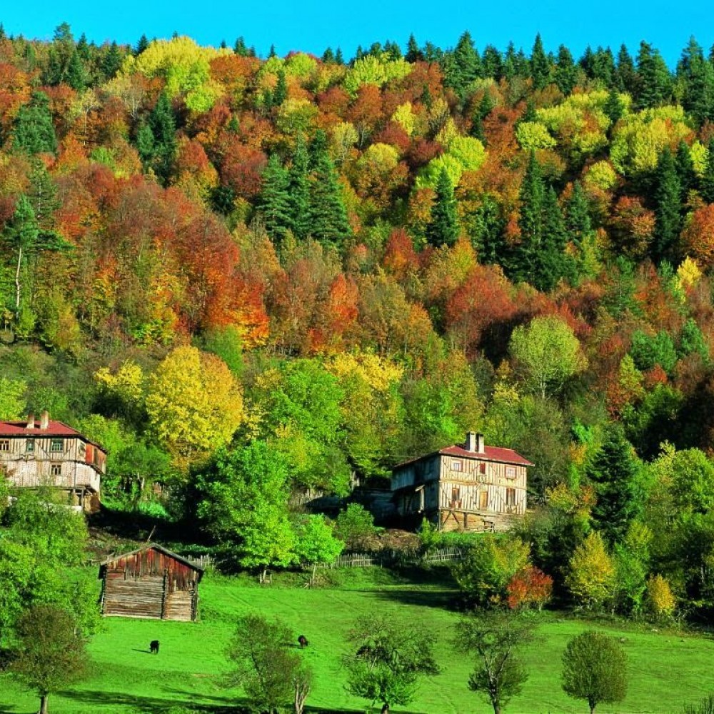 Ankara Hareketli Günübirlik Küre Dağları, Ilıca Şelaleleri…