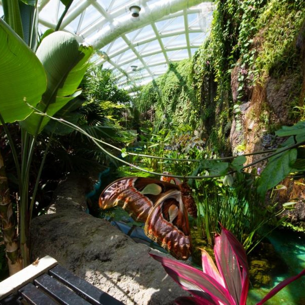 Ankara Hareketli Günübirlik Konya Kelebekler Vadisi - Mevlana ve Sille Köyü Turu